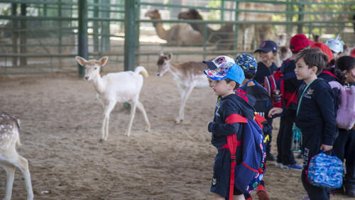 KG Trip to black Iris farm