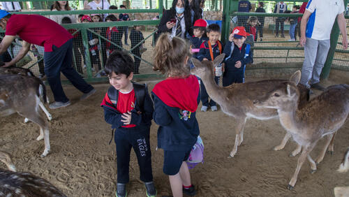 KG Trip to black Iris farm