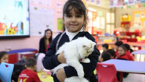 KG2 Pet Day 2024-2025