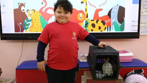 KG2 Pet Day 2024-2025
