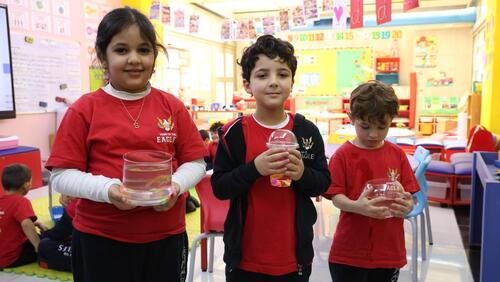 KG2 Pet Day 2024-2025