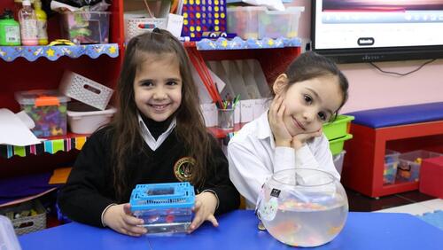 KG2 Pet Day 2024-2025