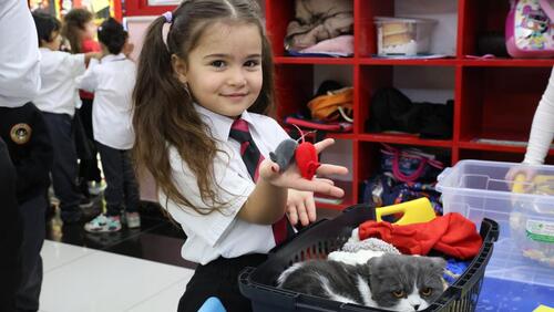 KG2 Pet Day 2024-2025