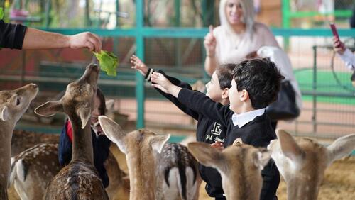 KG2 Trip to Black Iris 2024-2025