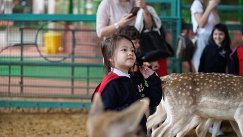 KG2 Trip to Black Iris 2024-2025