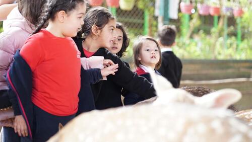 KG2 Trip to Black Iris 2024-2025