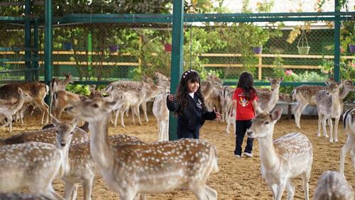 KG2 Trip to Black Iris 2024-2025