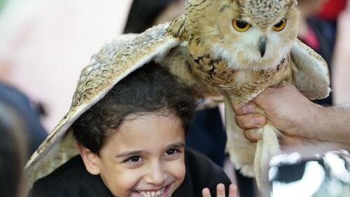 KG2 Trip to Black Iris 2024-2025
