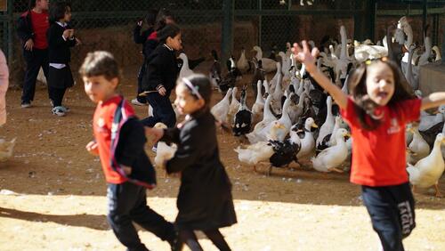 KG2 Trip to Black Iris 2024-2025