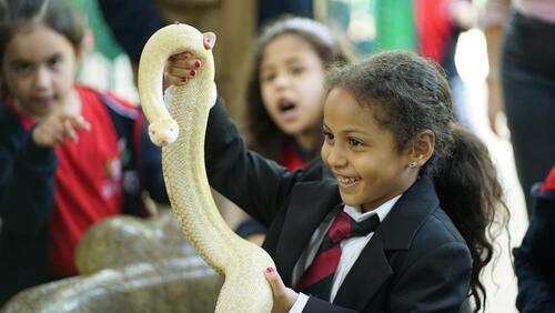 KG2 Trip to Black Iris 2024-2025