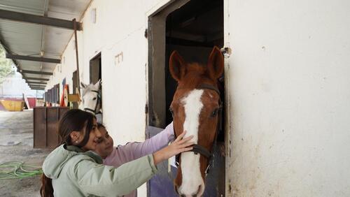 Saturday Activities - Dunes Club - Arabian Horse Club 1.2