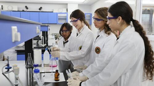 High School Lab Class 2024-2025