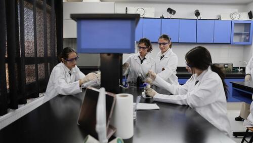 High School Lab Class 2024-2025