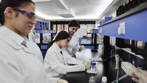 High School Lab Class 2024-2025