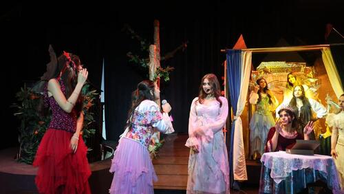 Sleeping Beauty Play 2024-2025