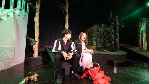 Sleeping Beauty Play 2024-2025