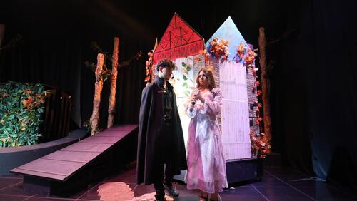 Sleeping Beauty Play 2024-2025