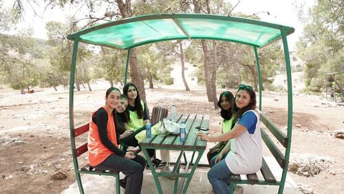 MAS Forest Project 2024-2025