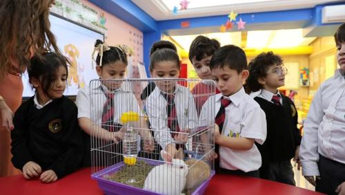 KG2 Pet Day 2024-2025