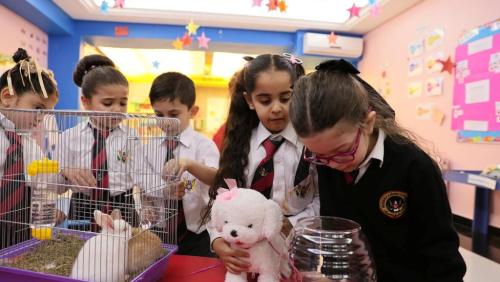 KG2 Pet Day 2024-2025