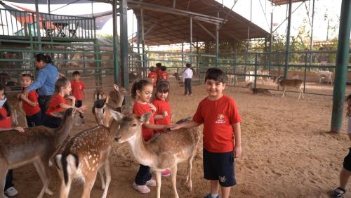 KG2 Trip to Black Iris Farm 2025-026
