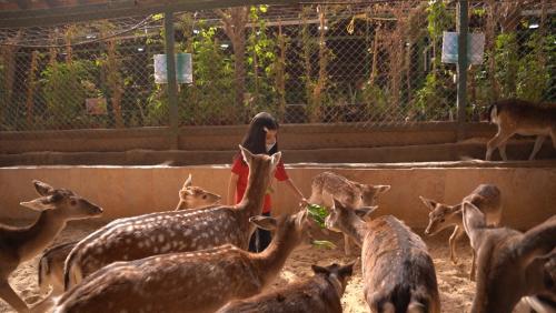 KG2 Trip to Black Iris Farm 2025-026