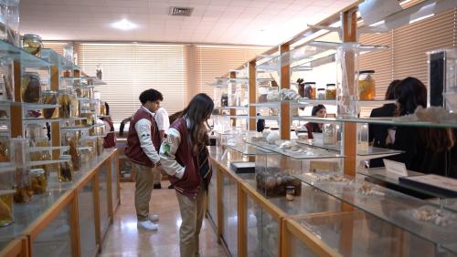  Grade 12 Visit to University of Jordan 2025-2026