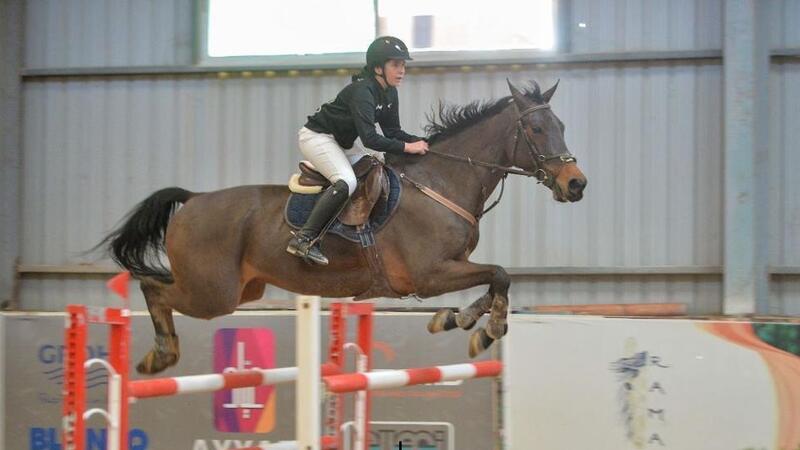 the Arabian Horse Club 2024